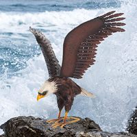 Statue d'aigle debout en métal artisanal, finition poudre brune, style Art déco, pour la maison, vente en gros, sculptures de jardin d'extérieur