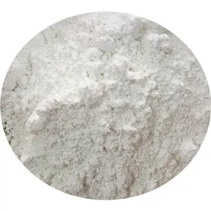 도매 Aluminosilicate 순수 Halloysites 가격 나노 튜브 구조 Halloysite 분말 Halloysit Clays 세라믹 1332-58-7