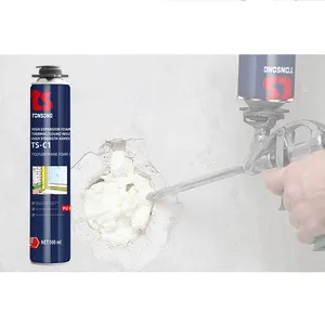 TS-C1 Closed Cell High Density PU Foam Manufacturer 750ml A5 Style Polymer PU Foam for General Caulking