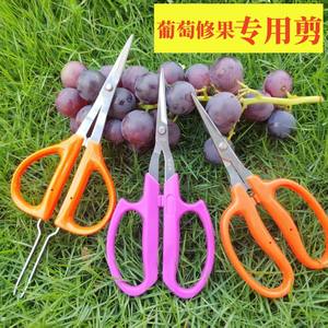 Ciseaux de taille-vigne Farmer's Joy 10-20 mm en acier inoxydable avec poignée orange, ciseaux de jardinage multifonctionnels - Product Image 2