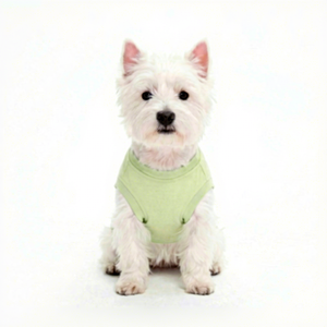 Cute Printed Cotton Vests For Owner And <b>Dog</b> Matching Set Green Spring Leisure Wear Comfortable Hand Wash Pet <b>Clothes</b> - Product Image 3
