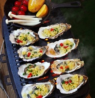 Mini barbecue de camping au charbon de bois, en fonte, portable, cuisinière de barbecue d'extérieur
