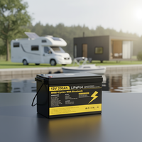 Batterie LFP 12V 24V 100Ah 200Ah avec BMS intelligent intégré, batterie Lifepo4 12.8V 25.6V 200Ah pour bateau, camping-car, appareils électroménagers