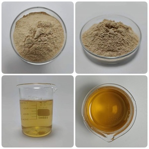 Poudre d'extrait de Maybush en vrac de haute qualité, poudre d'extrait de baie d'aubépine en gros - Product Image 2