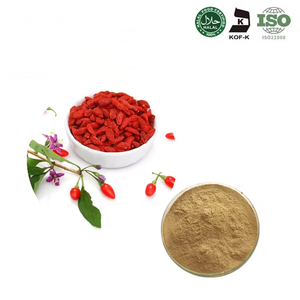 Çin Wolfberry toptan saf Wolfberry özü 10%-50% polisakkaritler kurt üzümü toz doğal <span class=keywords><strong>Lycium</strong></span> Barbarum özü - Product Image 4