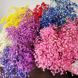 Fleurs séchées de gypsophile multicolores, fleurs séchées naturelles - Product Image 1