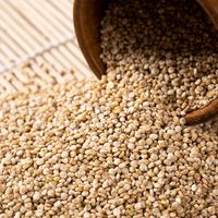 Quinoa Gandum Utuh Kelas Ekspor untuk Importir, Pedagang Grosir, dan Distributor Makanan