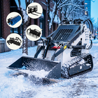 Kleiner Mini-Kompaktlader mit Kohler-Motor Raupenlader Hohe Ladekapazität - Guter Zustand zum Verkauf