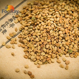 Graines de fenugrec non-OGM sans gluten, épice pure et naturelle pour la fabrication d'aliments à étiquette propre et les marchés biologiques - Product Image 1