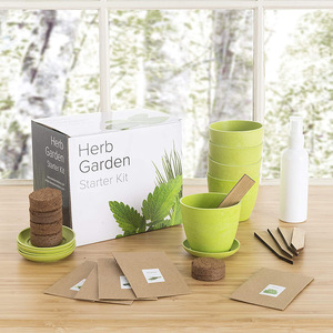 Chống ăn mòn phân hủy khởi động trồng cây bonsai Kit -DIY trong nhà cây bonsai Kit - Product Image 2