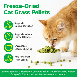 Oimmal Chicken Meat Fish Oil Cat Grass Pellet Custom Packaging <strong>Freeze</strong> <strong>Dried</strong> Hair Fresh Breath Pet <strong>Food</strong> for Cats Pet Supplement - Product Image 5