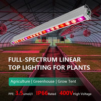 Lampe de culture linéaire COB à spectre complet 250W 3.5µmol/J, indice de protection IP66, 220V haute tension, en aluminium, pour la floraison des plantes, CRI95, angle de faisceau 20°