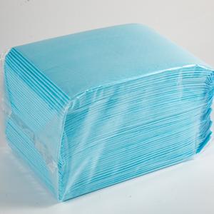 Lynpet工場供給ホット販売ペットおしっこパッド防水カスタマイズ犬トレーニングパッド高品質60x90子犬パッド - Product Image 1