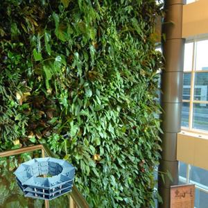 Proveedor Chino de Jardín Artificial Vertical Hidropónico para Colgar en la Pared - Product Image 4