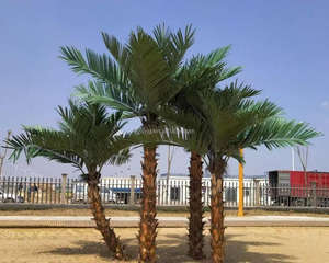 Arbre aux algues en <span class=keywords><strong>argent</strong></span> artificiel Grand palmier FRP Date de la mer Palmier Extérieur Intérieur Centre commercial Plancher <span class=keywords><strong>Faux</strong></span> arbre <span class=keywords><strong>D</strong></span>écoration Plantes - Product Image 6