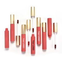 Créez votre propre rouge à lèvres liquide mat avec logo personnalisé, étiquette privée, taille standard, imperméable, longue tenue, rouge à lèvres en capsule de 5 g