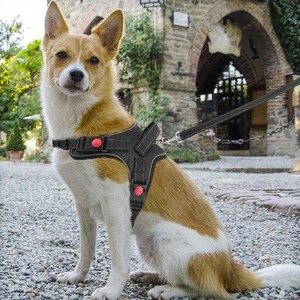 Arnés de malla ajustable para mascotas, chaleco con estampado de fresas para perros y gatos con correa rosa - Product Image 1