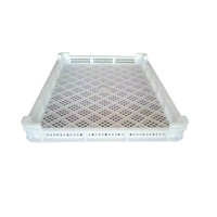 Production de matières premières pures Plateau de séchage empilable perforé en plastique blanc pour toutes les machines à pâtes et extrudeuses