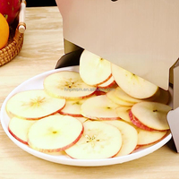 Hoge Kwaliteit Grote Appelwig Groothandelsprijs Grote Fruitsnijmachine Citrusmachine