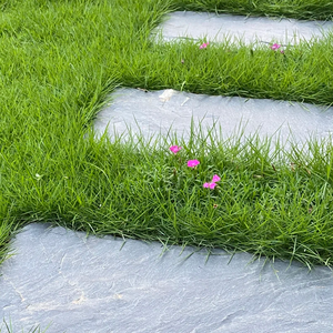 <span class=keywords><strong>Lastre</strong></span> di Ardesia Nera Naturale per Pavimentazione, Piastrelle Irregolari per Esterni, Giardini, Parchi, Pietre per Sentieri e Gradini - Product Image 3