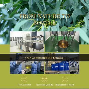 Huile essentielle de citron eucalyptus 100% pure, biologique et naturelle, en gros, à vendre - Product Image 6