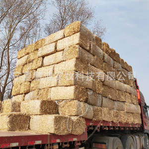 Paca de Forraje de Tallos de Maíz, Alimento Desmenuzado para Ganado Vacuno, Ovino y Equino, Suministro Directo de Origen - Product Image 1