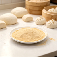 Levain sec actif de qualité supérieure avec une forte capacité de fermentation, matière première idéale pour tous types de pâtes fermentées