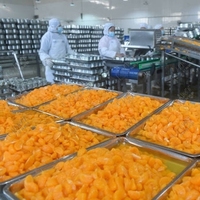Nouvelle machine automatique de fabrication de canettes de farine Leadworld Ligne de production en conserve de mandarine chocolat bonbons légumes Pasteurisateur mélangeur