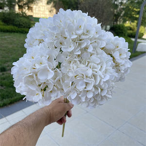 باقة زهور هدرانج من الحرير 5 رؤوس بيضاء تصلح كزهور لزينة حفلات الزفاف - Product Image 1