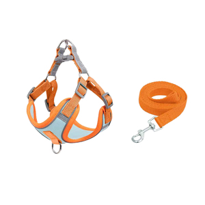 Manufacturer Designer Nylon Harness Leash Set for Dogs Fashionable Reflective Personalized Pet Gear Small Medium Large <b>Walking</b> - Product Image 5
