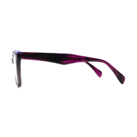 Monture de lunettes unisexe pour adultes, de luxe, de haute qualité, en acétate poli et PC, style vintage, fournisseur en gros de marques privées