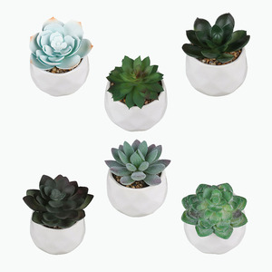 1Set 6Pcs High Quality Fake Succulents Artificial Plants Potted Mini Plastic Bonsai With Pots