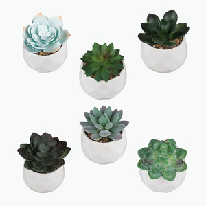 1 세트 6Pcs 고품질 가짜 Succulents 인공 식물 화분 미니 플라스틱 분재 냄비