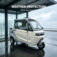 Tricycle électrique familial compact à 3 roues avec cabine scellée, scooter de mobilité électrique à basse vitesse pour adultes