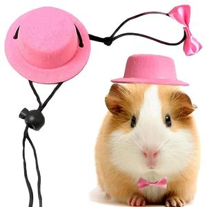 Cappello per animali piccoli <span class=keywords><strong>vestiti</strong></span> per porcellini d'India - Product Image 4