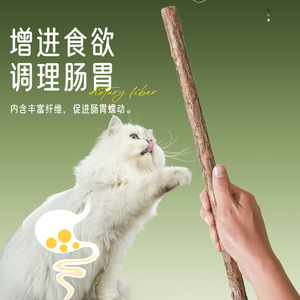 Bâton à mâcher extra long en Polygonum pour chat, 48 cm, pour le nettoyage des dents des chatons et l'auto-entretenissement des animaux de compagnie - Product Image 1