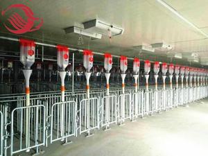 Peralatan Pertanian Babi Galvanis Peti Kehamilan/Kios untuk Babi - Product Image 6