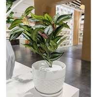Ensemble de 3 pièces Pot de fleur blanc d'intérieur moderne cylindre grand Pot de plante en céramique pour la décoration de la maison