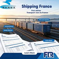 Agente de Transporte Ferroviario Francia París Niza Servicios de Transporte Agente de Envíos DDP Compañía de Envíos Envío Aéreo Express