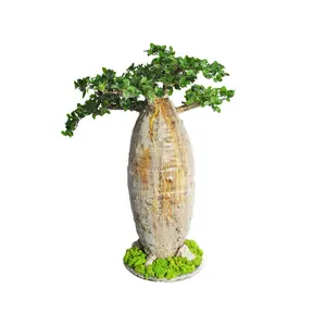 Artificial plants tree baosai cute potted Adansonia digitata baobab Pulp Extract Monkey bread tree for home indoor decoration