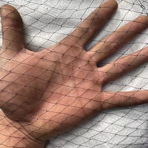Nylon Multifilament or Monofilament Bird Mist <strong>Netting</strong> /catching Bird Mist Net/ Anti Bird <strong>Netting</strong> - Product Image 4