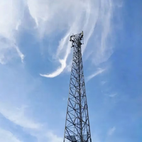 Tour de télécommunication fiable de 35 m en acier doux avec protection antirouille pour système de transmission par micro-ondes