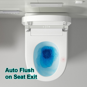 Inodoro inteligente colgante de <span class=keywords><strong>pared</strong></span> de cerámica blanca automático inteligente eléctrico de hotel de gama alta para Baño - Product Image 4