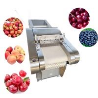 Efficiënte Automatische Fruitprietmachine: Verbeter uw lijn voor de verwerking van diepvriesfruit