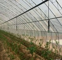 Micro-arroseur écologique à économie d'eau avec cadre en plastique pour les systèmes d'irrigation des cultures biologiques, des serres et des jardins domestiques
