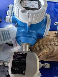 Endress + hauser promass 83F coriolis khối lượng lưu lượng kế tùy chỉnh kỹ thuật số chất lỏng khí không khí khối lượng cảm biến OEM lưu lượng mét - Product Image 6
