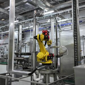 Proyecto Llave en Mano para Mataderos de Ganado que Incluye Construcción Civil, Instalaciones de Almacenamiento en Frío y Equipos para Líneas de Sacrificio - Product Image 5