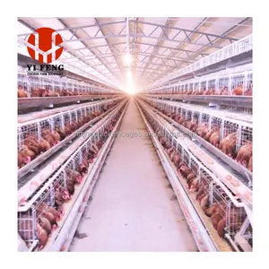 Hot Dip Galvanized Laying Hens 5000 Birds A Frame Multi Tiers Egg Layer Chicken Cage