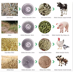 Machine de traitement de boules <span class=keywords><strong>d</strong></span>'aliments granulés, 220V, pour usage domestique, famille de petits poissons, poulet, cochon, volaille, animaux domestiques - Product Image 5