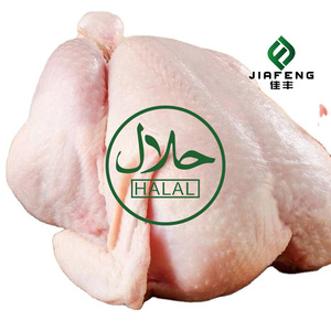 Healthy and Natural Special Price Whole Frozen <strong>Chicken</strong> with Full Specifications Available - Product Image 4